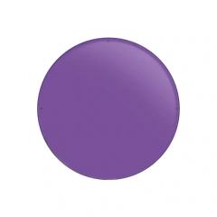 nylon sunglasses lens solid color purple tinted PAXV2101